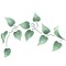 Twisting Leaf Wall Stencil Border | 2309 by Designer Stencils | Floral Stencils | Reusable Art Craft Stencils for Painting on Walls, Canvas, Wood | Reusable Plastic Paint Stencil for Home Makeover | Easy to Use & Clean Art Stencil